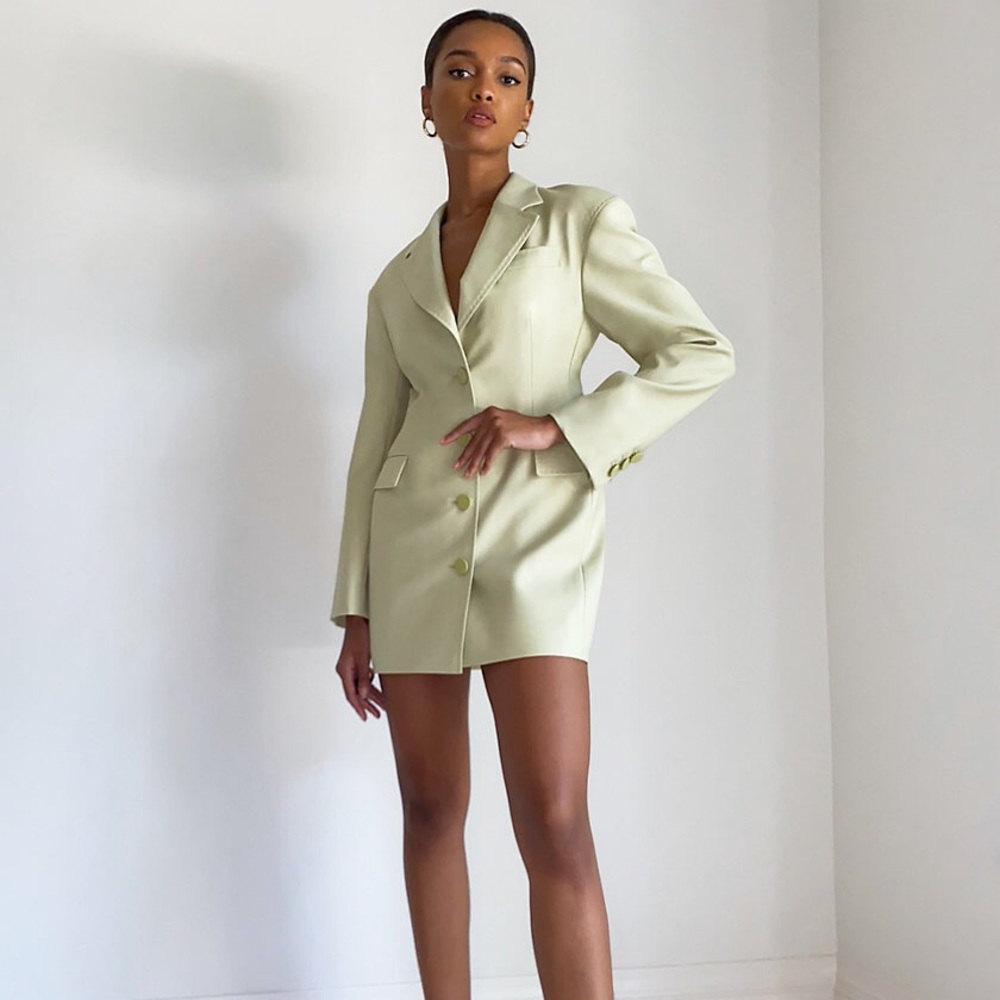 Aritzia Bodice Blazer Dress